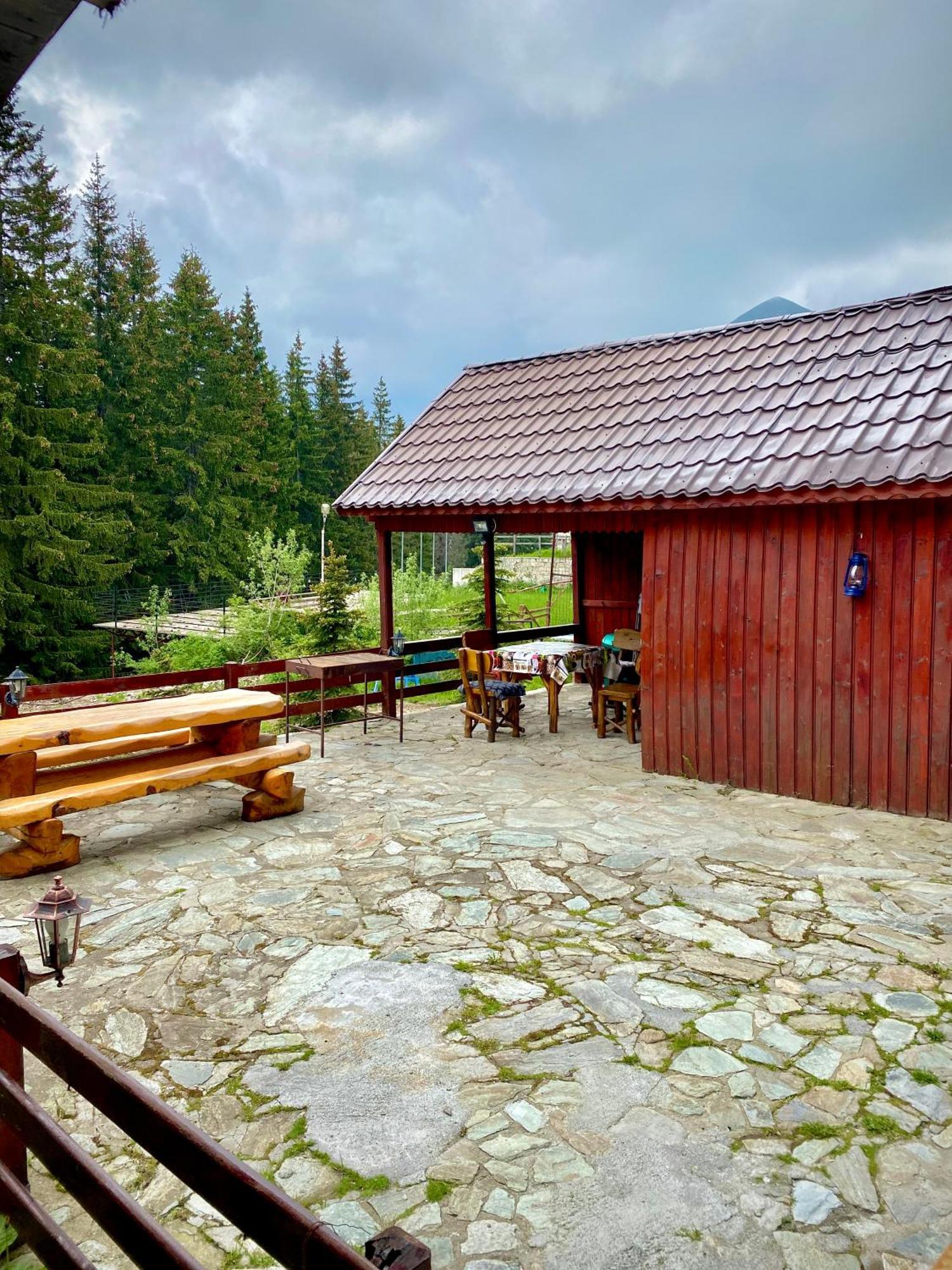 Casa De Vacanta Catrinel Ranca Buitenkant foto