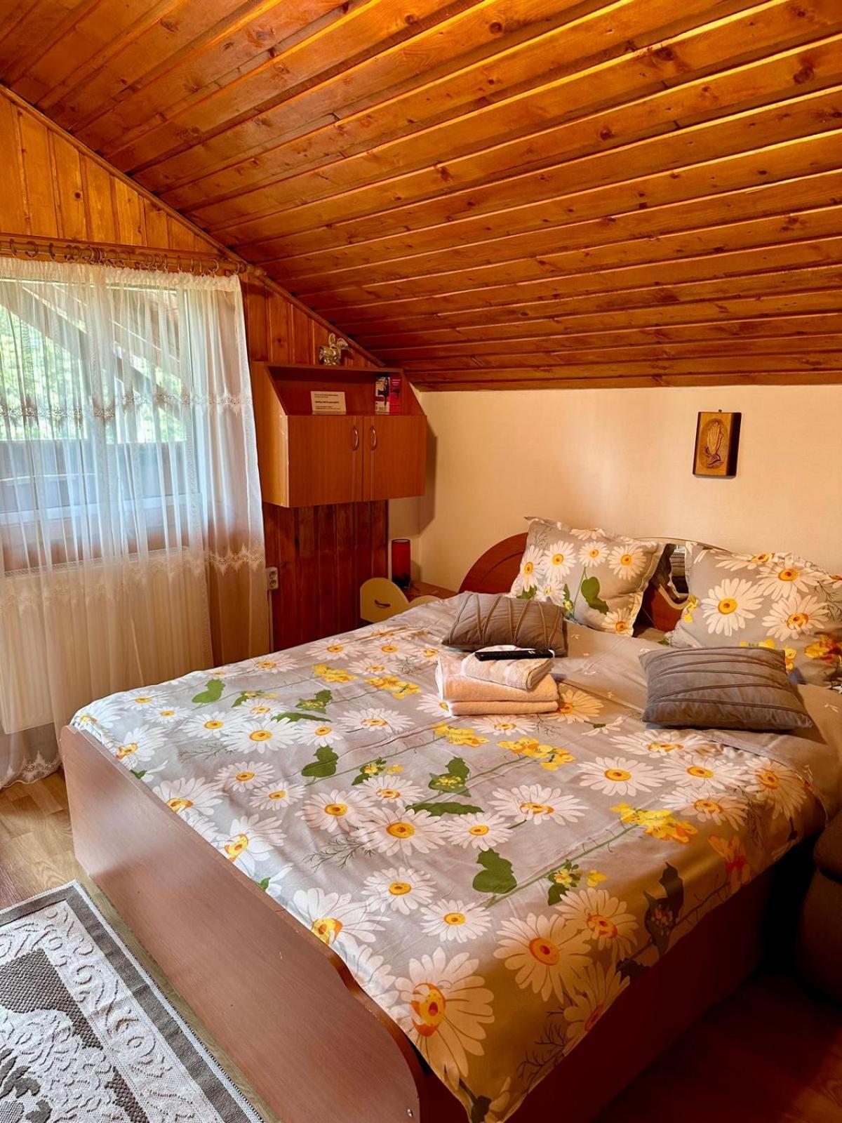 Casa De Vacanta Catrinel Ranca Buitenkant foto
